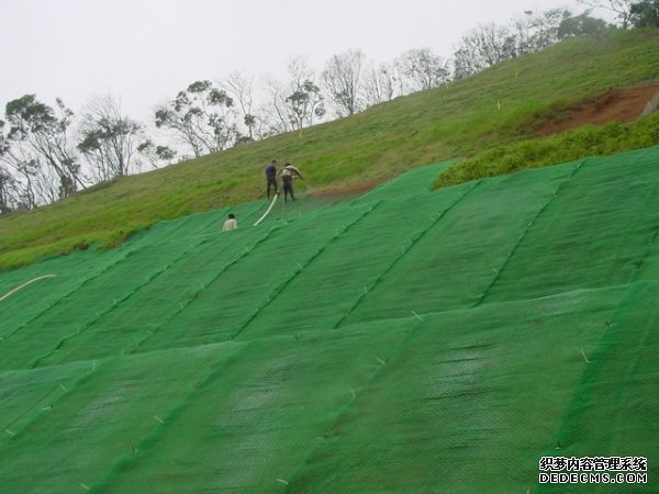 三維植被網(wǎng)http://yiyizs.com.cn/
