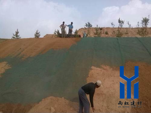 三維植被網(wǎng)http://yiyizs.com.cn/